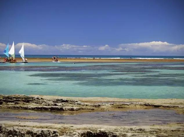 巴西有什么好看的风景,巴西的自然景色