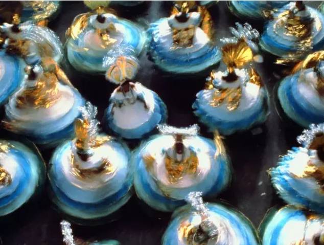 巴西有什么好看的风景,巴西的自然景色