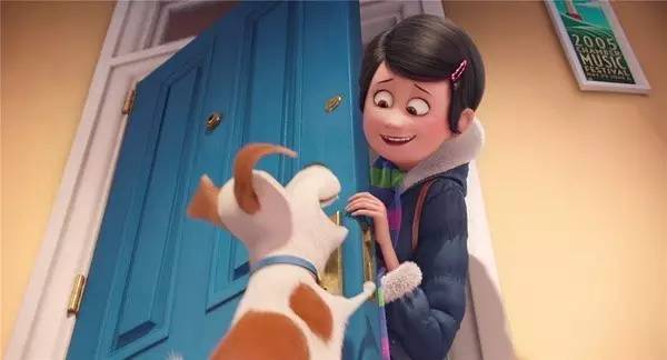 万万没想到！竟然被一群来搞笑的宠物暖哭了