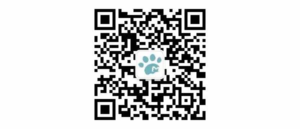 灯太亮了粤语,灯太亮猫会捂眼睛吗