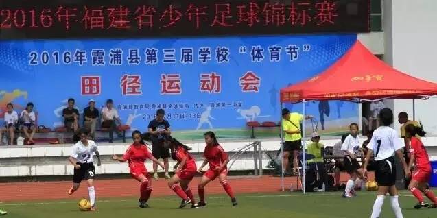 未来拯救国足的人会是福鼎人吗?