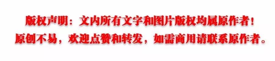 伪摄影师与真正的摄影师,伪摄影师