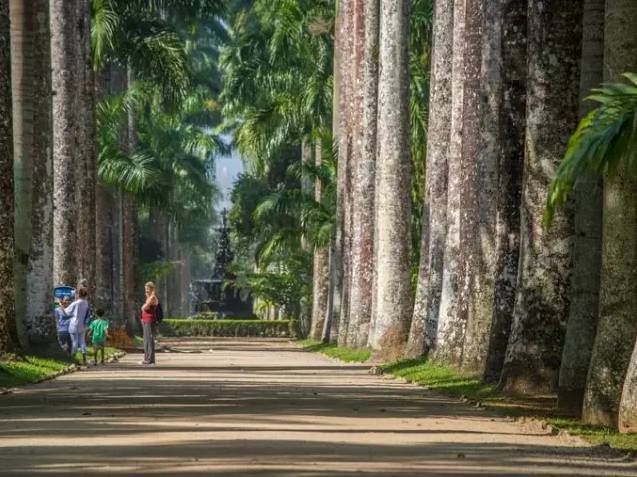 巴西有什么好看的风景,巴西的自然景色