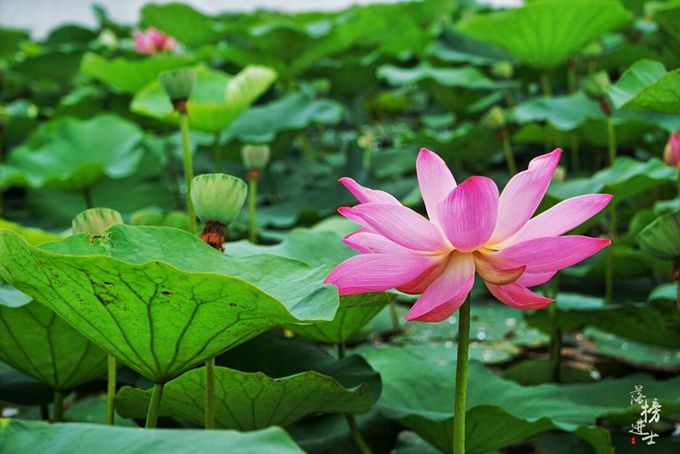 在我国东北，隐藏了一处俄罗斯早已消逝的建筑群！