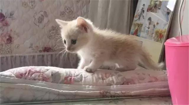 逼格咖啡厅,逼格很高的咖啡馆