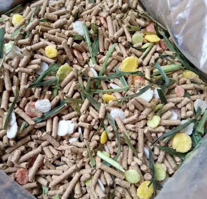 在家养兔子怎么自己做笼子,想养兔子要怎么做