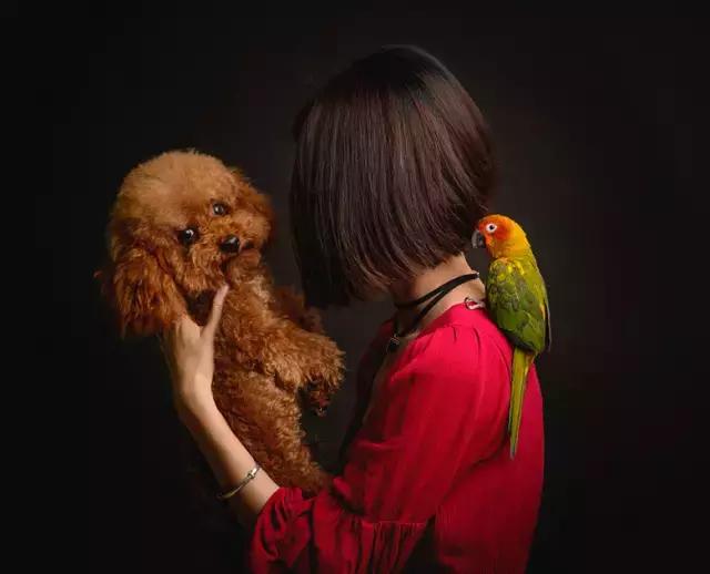 阅狗无数，看铲屎官摄影师如何用宠物来“撩妹”