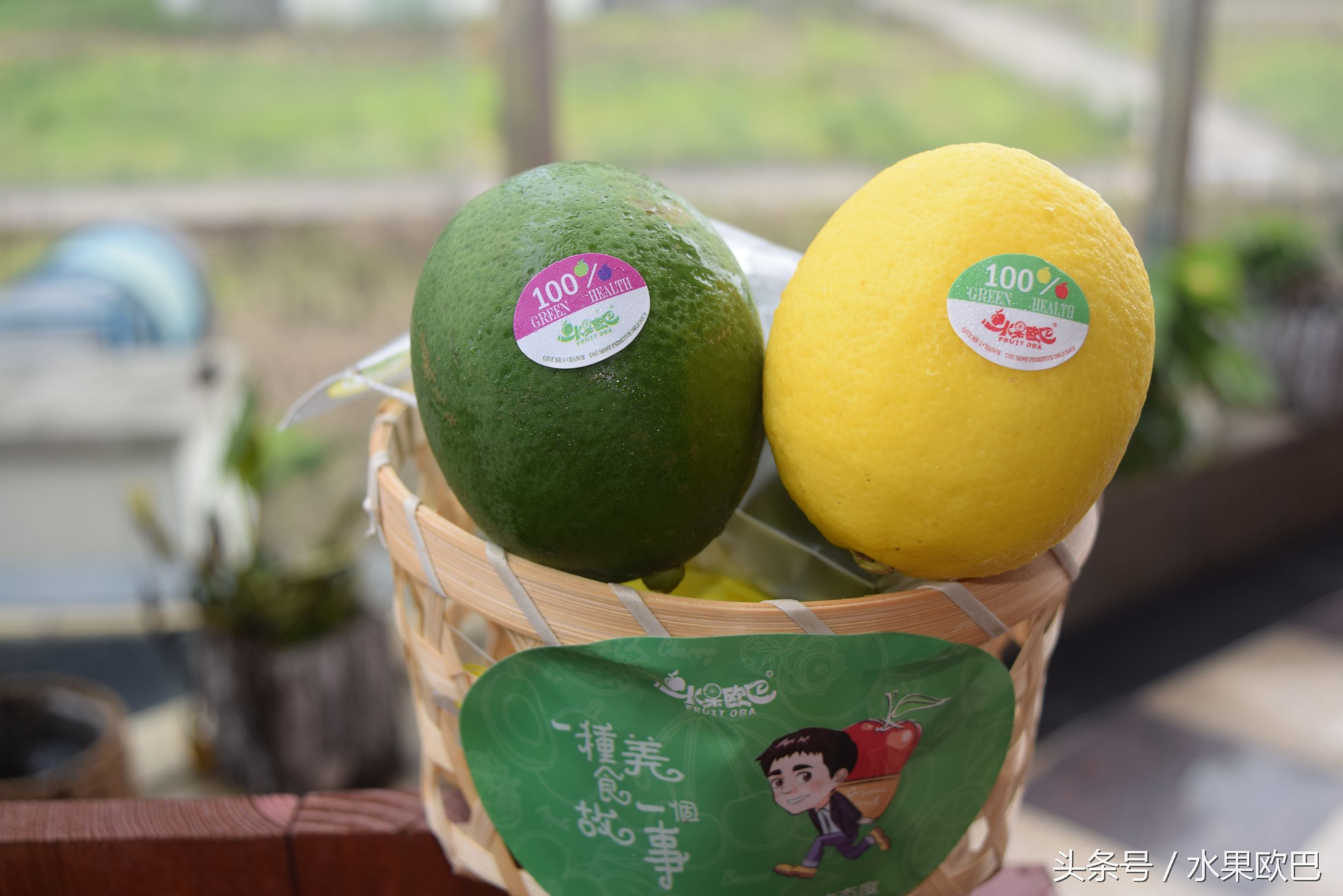 养生健康的食物有哪些,健康养生吃的零食