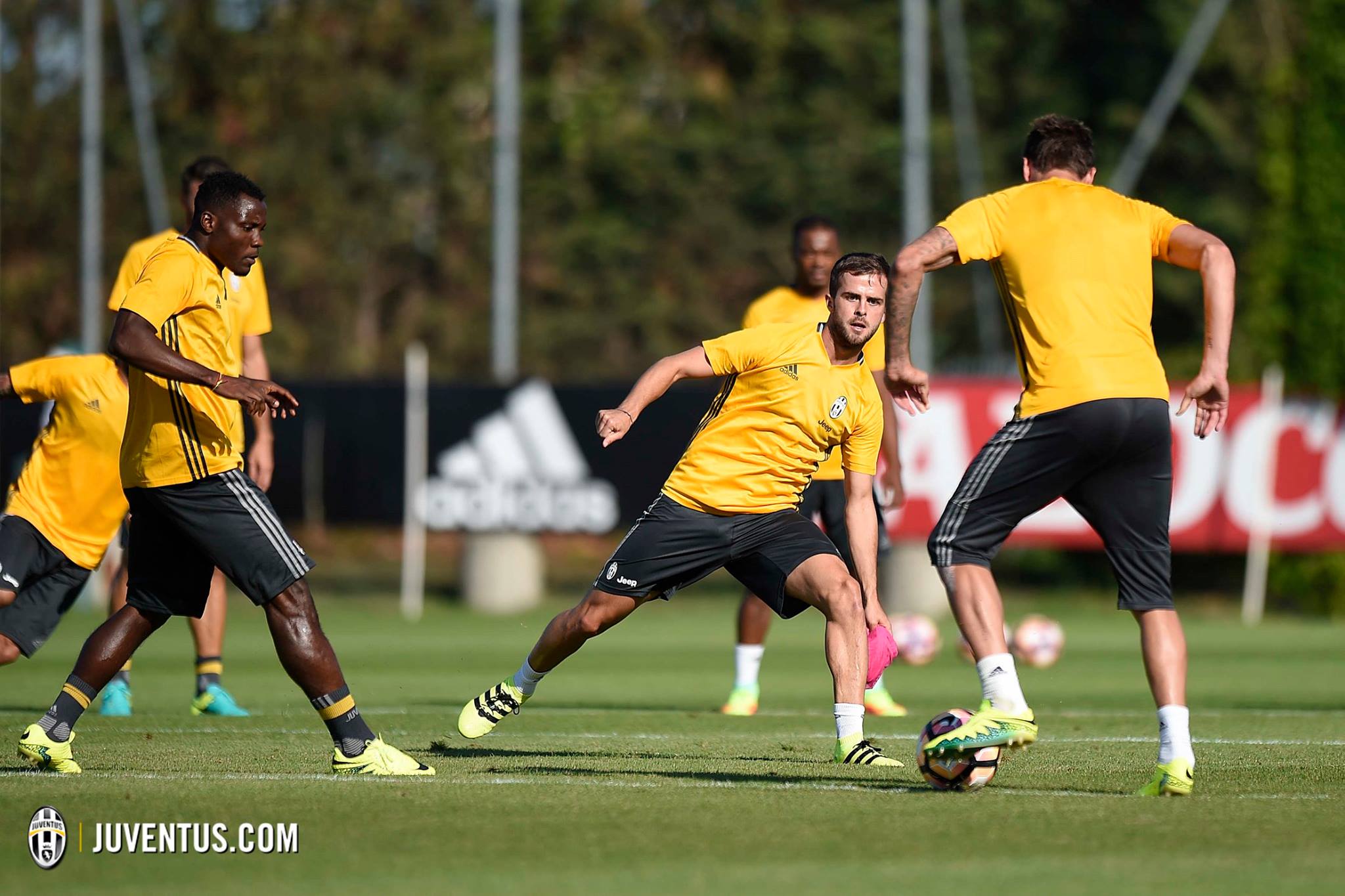 adizero路跑赛,adizero顶尖跑鞋