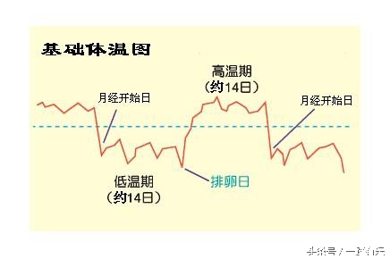 女孩子排卵受孕最佳时间,想要女孩什么时候怀孕最好