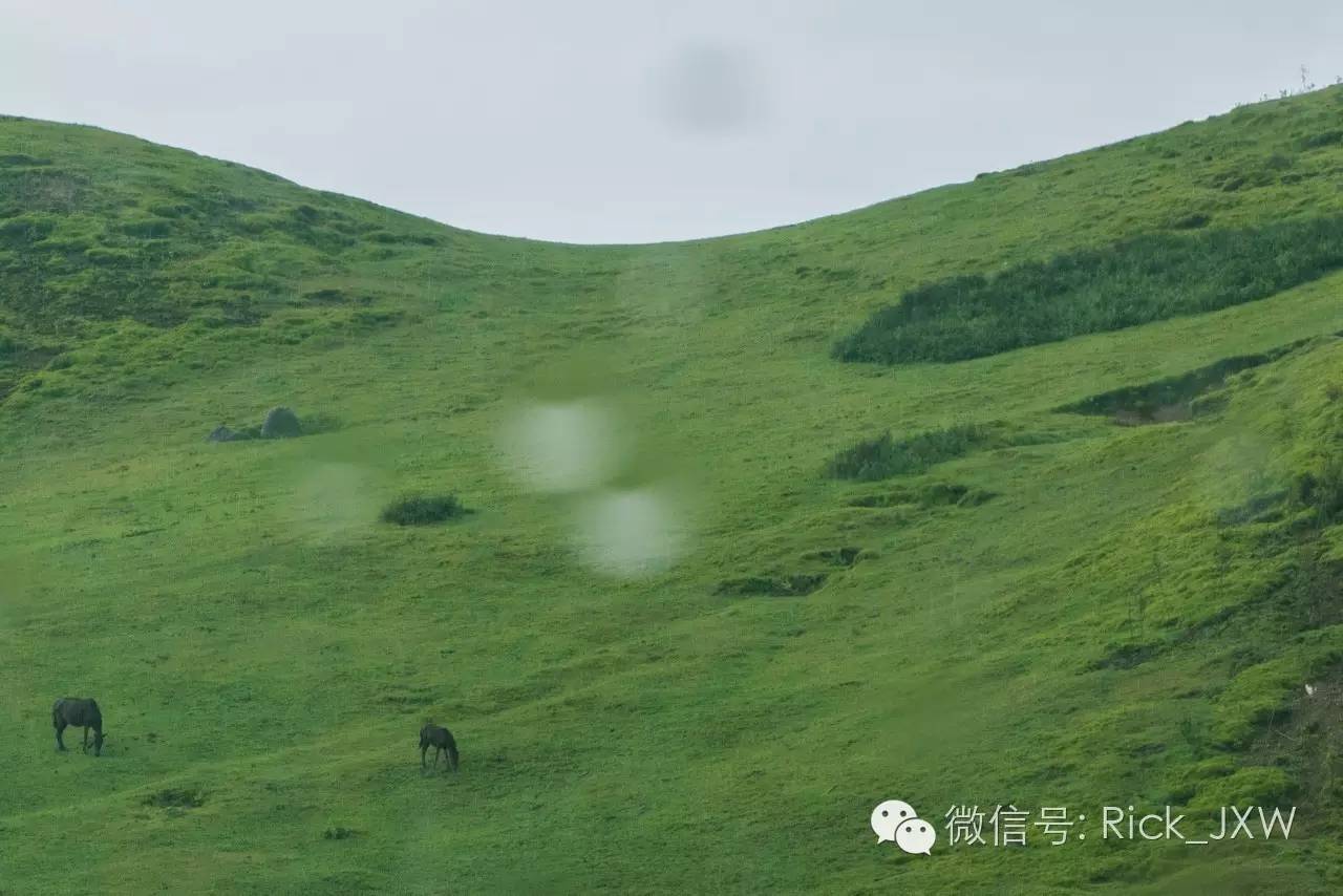 离广州最近的有草地湖泊的地方,离广州最近的山顶草原