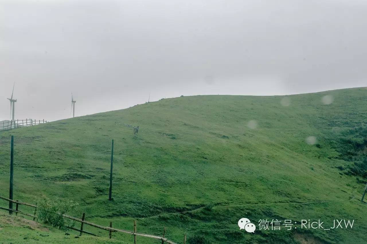 离广州最近的有草地湖泊的地方,离广州最近的山顶草原