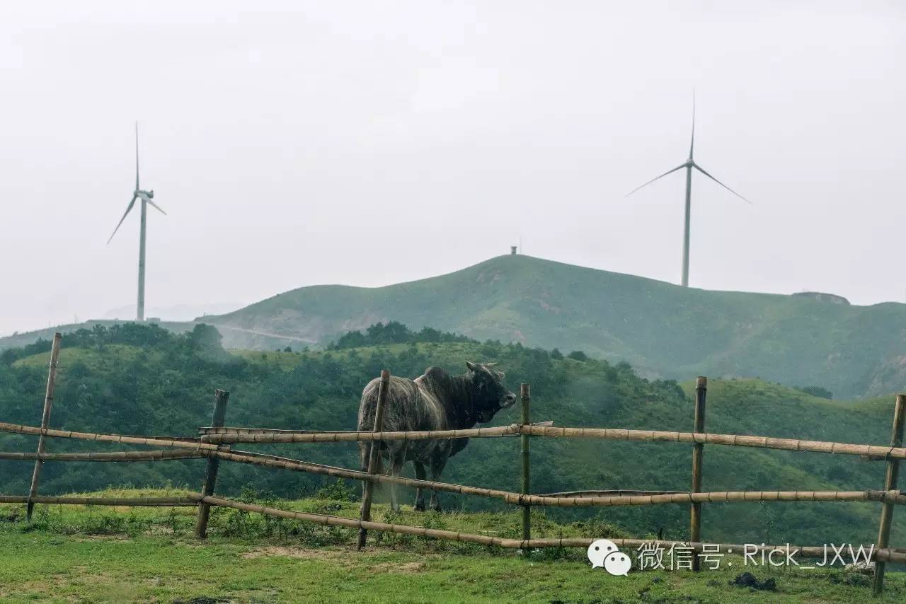 离广州最近的有草地湖泊的地方,离广州最近的山顶草原