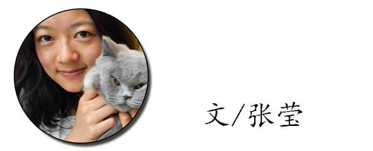 青运会云南选手,云南2024青运会开始时间