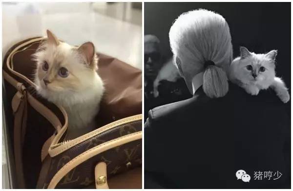 康夫负离子吹风机新年款,最值得购买又便宜的负离子吹风机