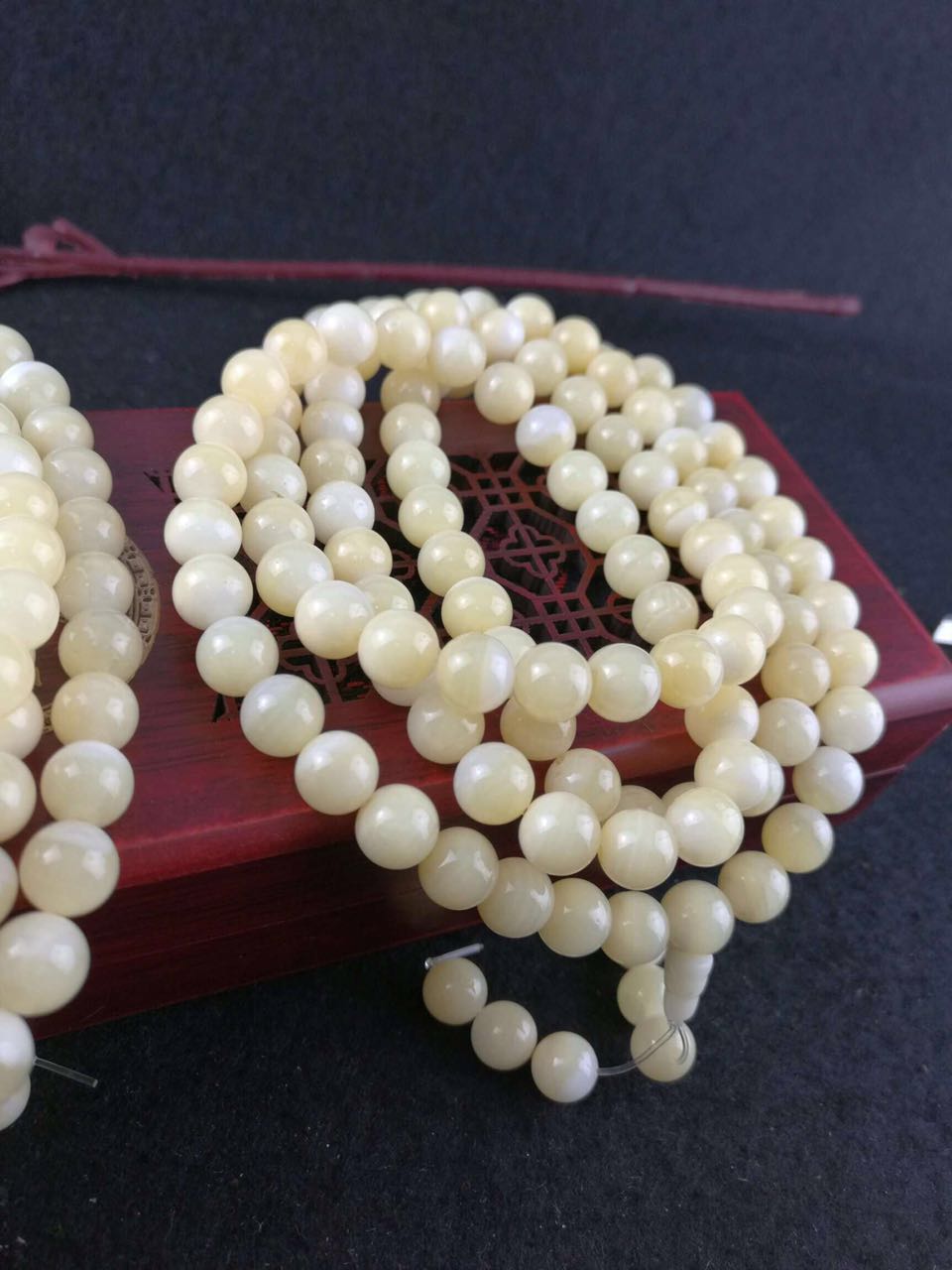 砗磲的保养方法,正确保养砗磲的方法