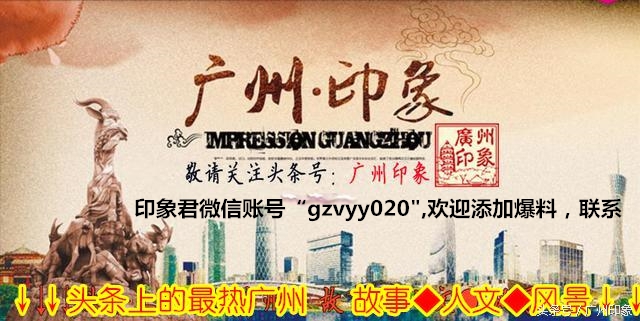 这条鱼让iPhone6s更显灵动，但你知道这是什么鱼吗