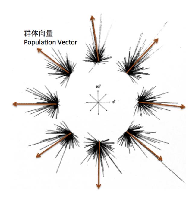 人类脑机接口进展历程,霍金脑机接口