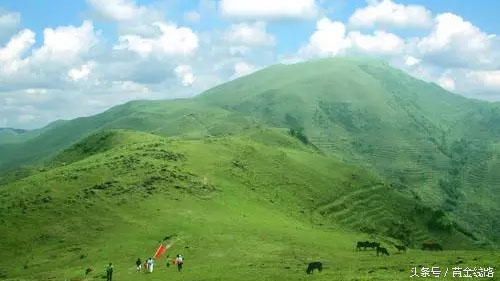 广东的绿宝石,广东绿宝石