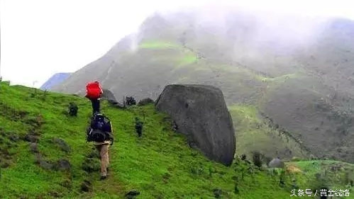 广东的绿宝石,广东绿宝石