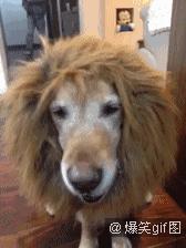 新赛季西甲分析,西甲新赛季分析