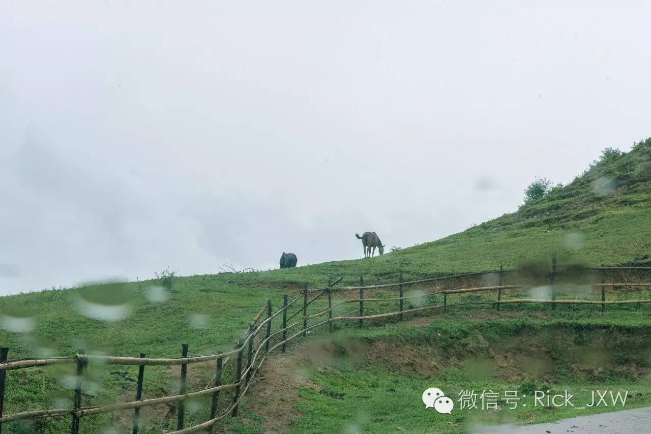 离广州最近的有草地湖泊的地方,离广州最近的山顶草原