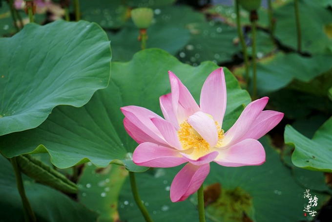 在我国东北，隐藏了一处俄罗斯早已消逝的建筑群！