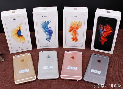 这条鱼让iPhone6s更显灵动，但你知道这是什么鱼吗