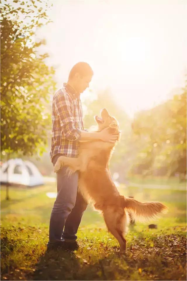 阅狗无数，看铲屎官摄影师如何用宠物来“撩妹”