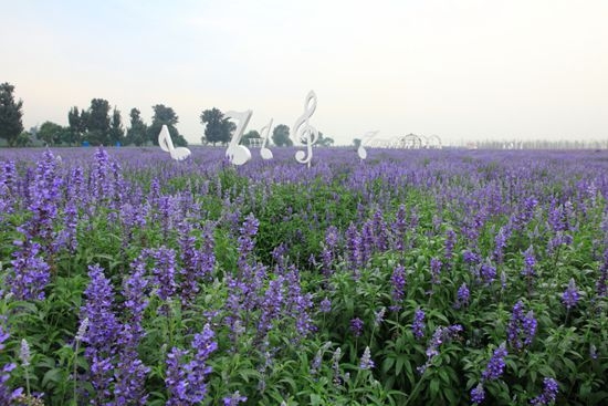 北京情侣约会必去的地方top10,北京情侣约会的最佳地