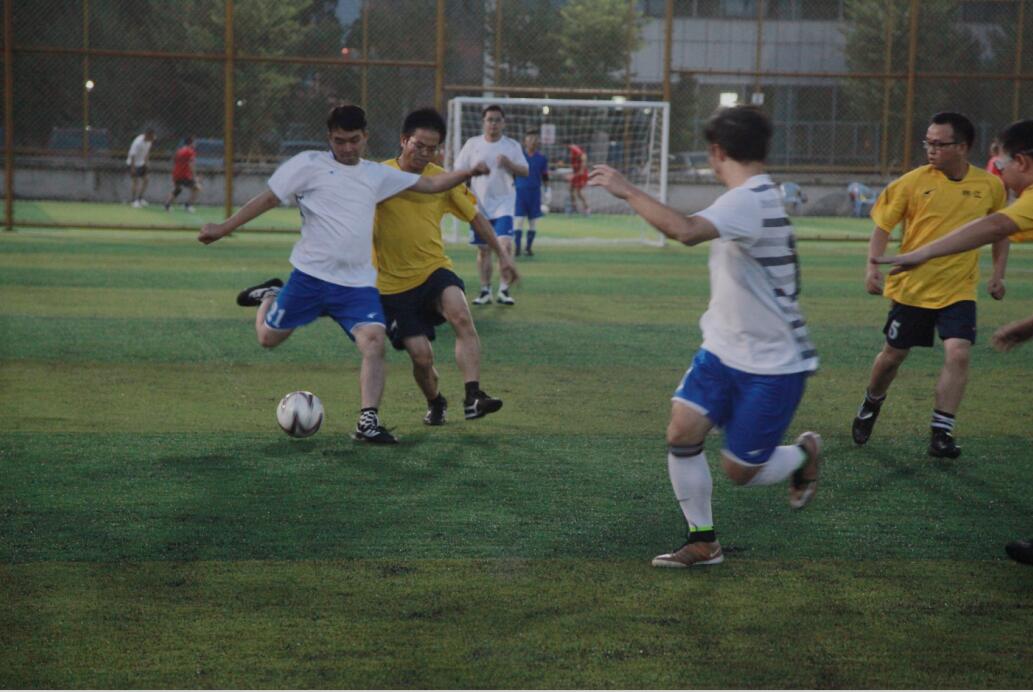 首届体育文化艺术节圆满收官,首届体育文化节圆满结束