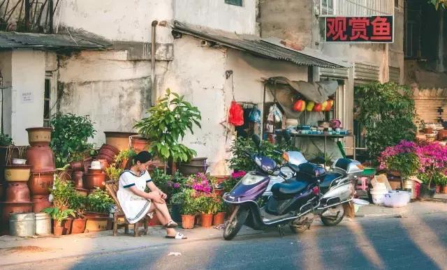 我还是很喜欢你原唱,我还是很喜欢你朗诵
