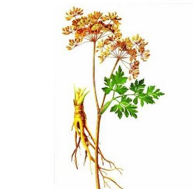 经期护理知识,女性经期应该如何护理