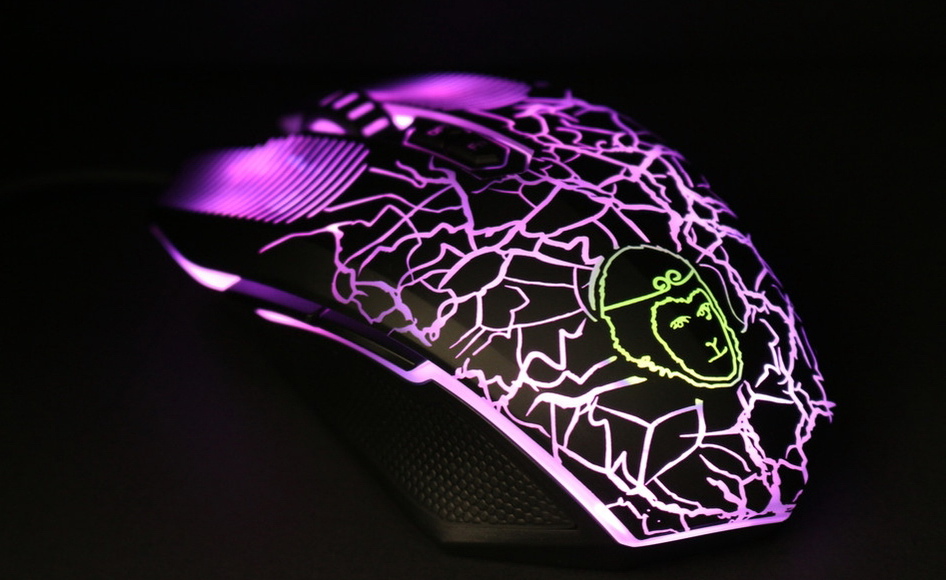 别管多少钱先拿来看看，今年要烧钱的猴年版装备