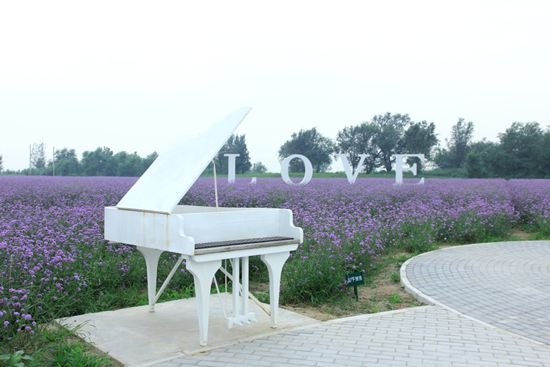 北京情侣约会必去的地方top10,北京情侣约会的最佳地