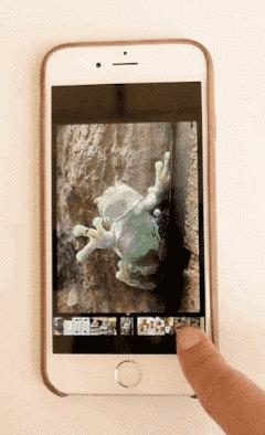 iphone6s那些你可能熟悉却又陌生的功能