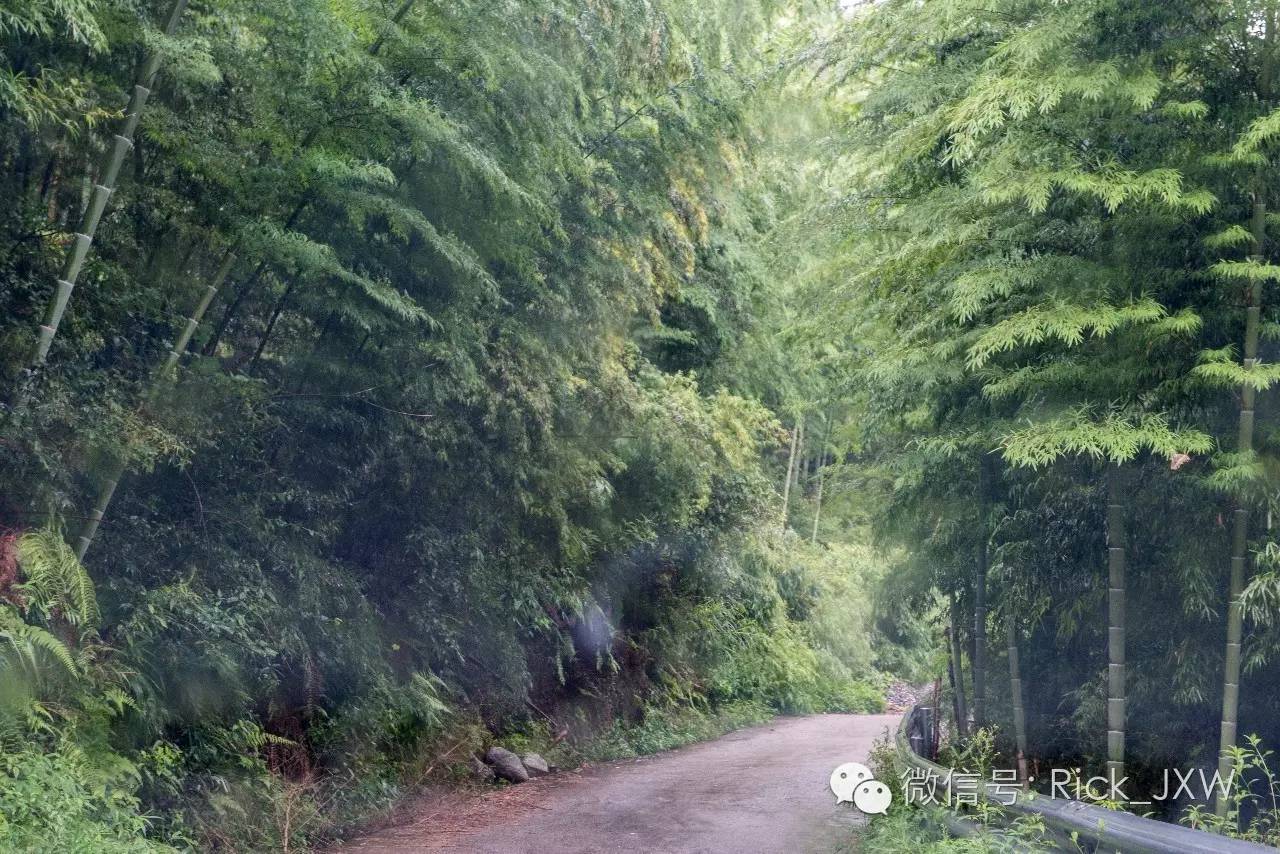 离广州最近的有草地湖泊的地方,离广州最近的山顶草原
