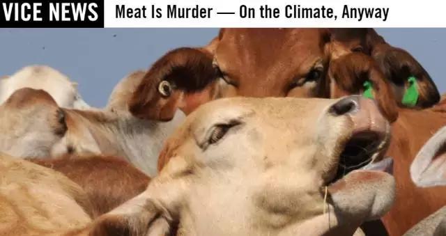 6位看到曙光并开始吃素的环保人士