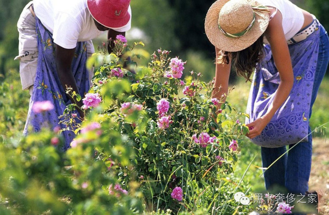 70年磨一剑，LV终于也出香水了！九月全球发售！