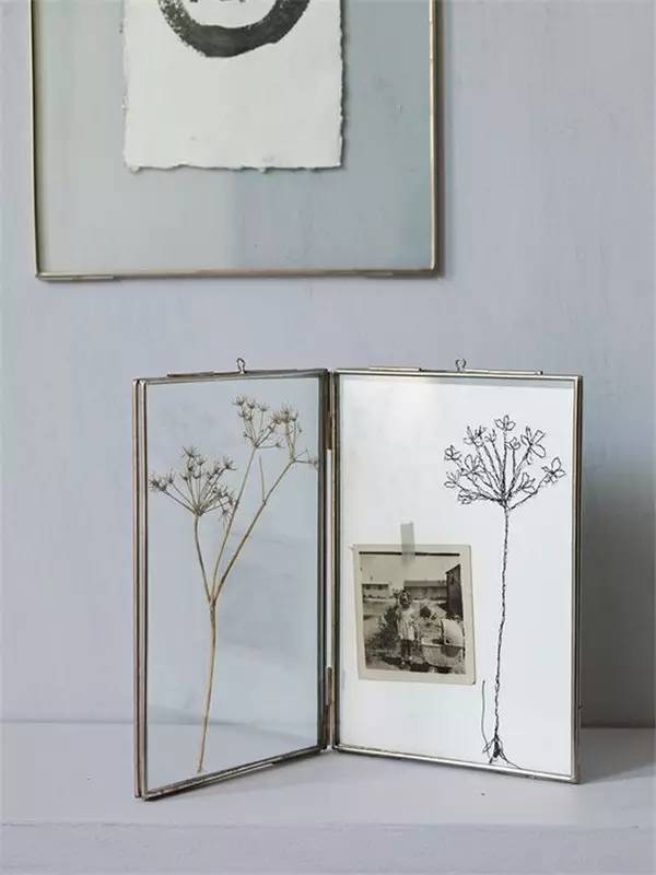 植物标本怎么装饰墙面 (植物标本室内装修挂件)