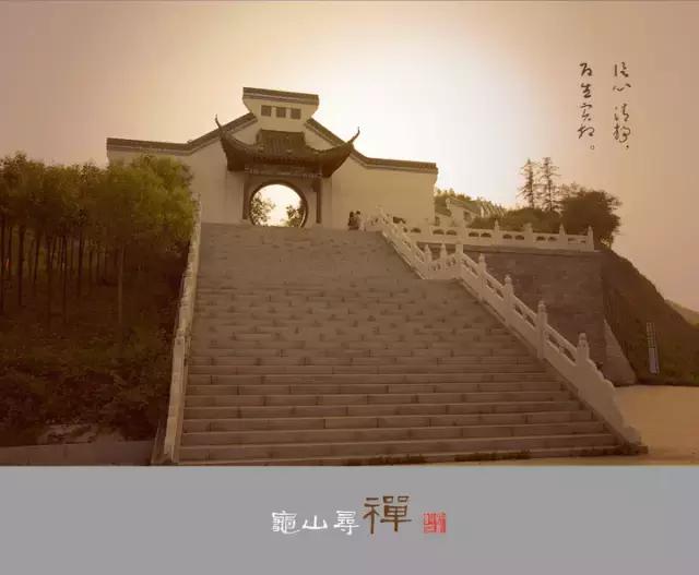 七大美女齐聚信阳！看看她们都是谁?