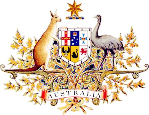 是什么让40000华人把澳洲药房搬空？甚至连仓库也不放过！