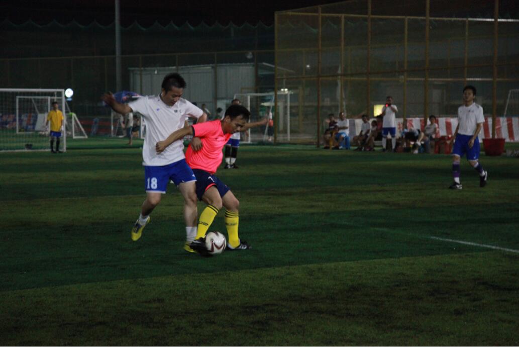 首届体育文化艺术节圆满收官,首届体育文化节圆满结束