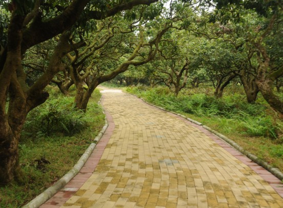 奔跑吧兄弟操场跑步哪一期,奔跑吧兄弟布拉格广场是哪一期