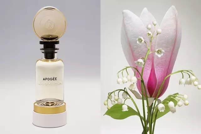 lv香水哪个香味最值得买,lv香水哪个香味最值得买女士