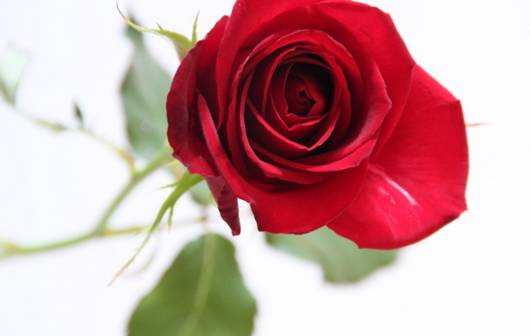 为了女儿卖化妆品,为了买东西什么话都敢说