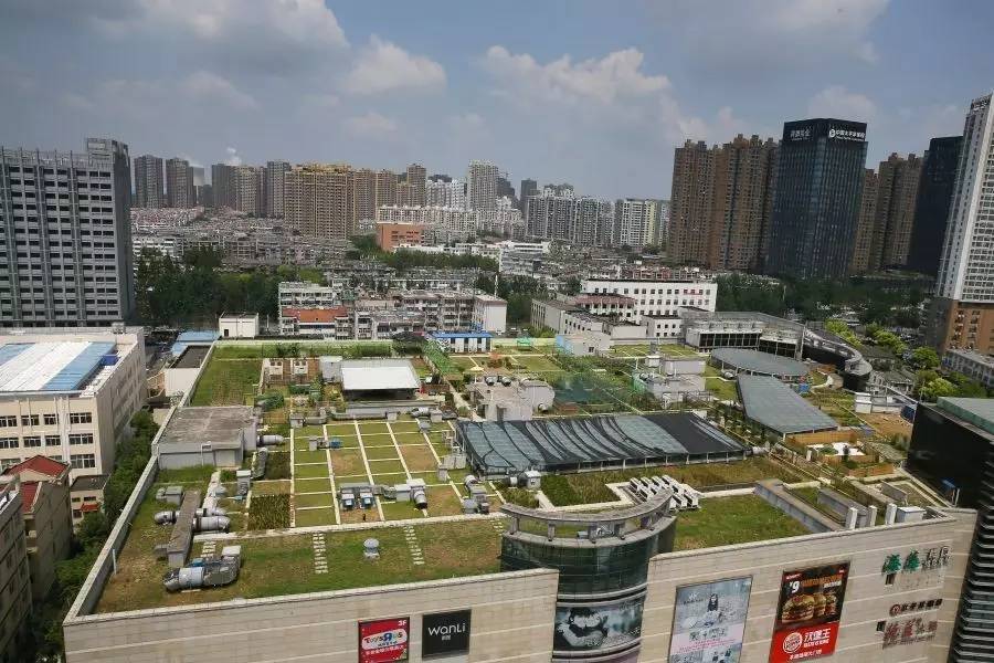 寤轰竴搴х幇浠ｅ寲瓒呭ぇ鍨嬬鐞冨満,寤轰簡涓冻鐞冨満