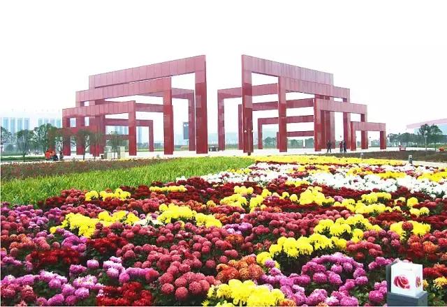 七大美女齐聚信阳！看看她们都是谁?