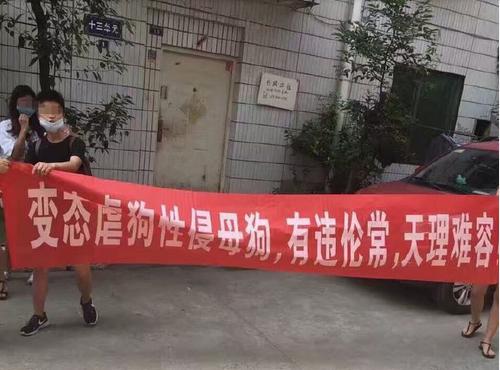 爱狗人与打狗队发生打架,爱狗与虐狗