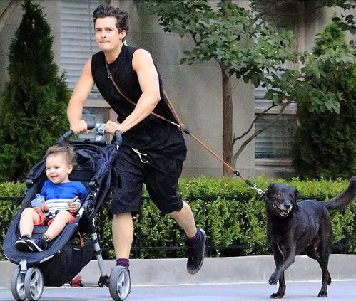 爱狗人与打狗队发生打架,爱狗与虐狗